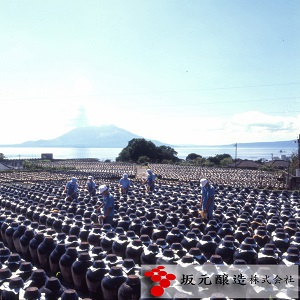 坂元醸造　坂元のくろず薩摩・天寿りんご黒酢３６０ｍｌセット