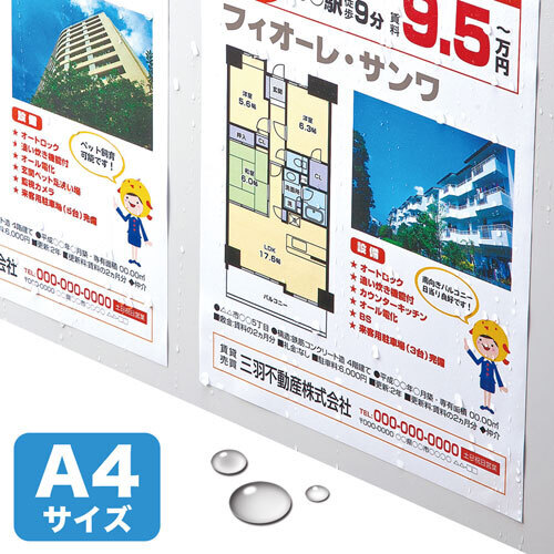 カラーレーザー用耐水紙（標準・Ａ４）　ＬＢＰ－ＷＰＦ１２ＭＤＰＮ　■お取り寄せ品