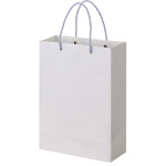 ポリエチレンラミネート紙袋　白　Ａ４　１０枚