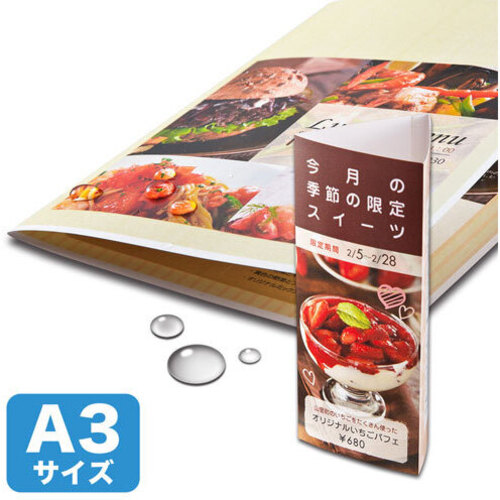カラーレーザー用耐水紙（特厚・Ａ３）　ＬＢＰ－ＷＰＦ２２ＭＤＰＮ－Ａ３　■お取り寄せ品