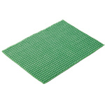 ＦＸマイクロ抗菌クロス　緑　３００×４００ｍｍ　【お取り寄せ品】９営業日以内届