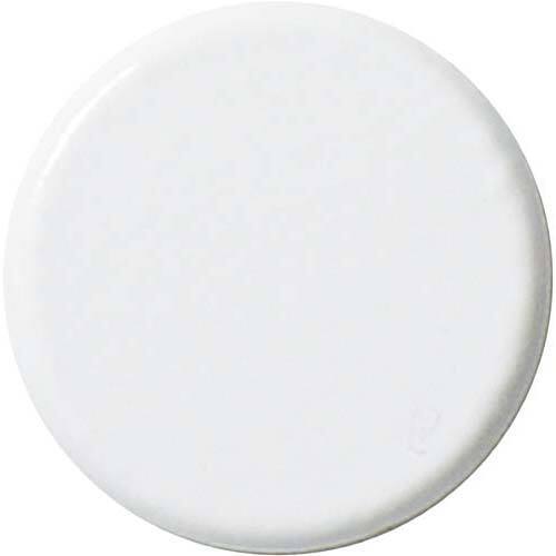 両面強力カラーマグネット　２５ｍｍ　白　１０個入