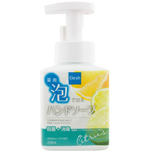 Ｃｌｅｓｈ薬用泡で出るハンドソープ　本体２５０ｍｌ　【お取り寄せ品】７営業日以内届