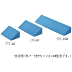 体位固定クッション　６００ｍｍ用　交換カバー　　８－８６８０－１１