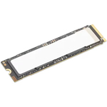 ＴｈｉｎｋＳｔａｔｉｏｎ　５１２ＧＢ　Ｐｅｒｆｏｒｍａｎｃｅ　Ｍ．２　ＳＳＤ　■お取り寄せ品