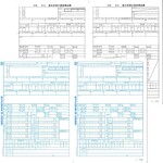 単票源泉徴収票（令和７年分）
