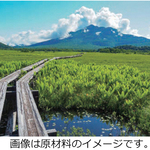 尾瀬の木道ペーパー