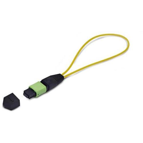 光ファイバーループバックプラグ／ＭＰＯ－１２　メス　ＬＯＯＰＢＡＣＫＭＴＰ１２ＯＳ２ＳＭＦ　■お取り寄せ品