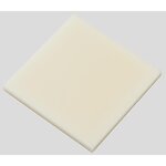樹脂板材　ＡＢＳ樹脂板　ＡＢＳＮ－０５０５１０　４９５ｍｍ×４９５ｍｍ　１０ｍｍ　２－９２２７－０６