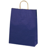 手提げバッグ　１０Ｐマリン　大