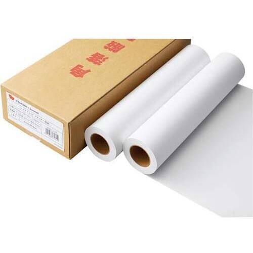 普通紙６４ｇ　４２０ｍｍ&times;５０ｍ　２本入