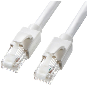 カテゴリ６Ａ　ＬＡＮケーブル（ホワイト・２ｍ）　ＫＢ－Ｔ６ＡＴＳ－０２Ｗ　■お取り寄せ品