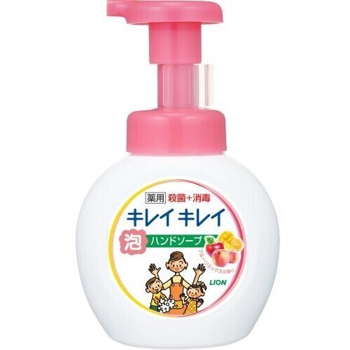 キレイキレイ薬用泡ハンドフルーツミックス２５０ｍｌ