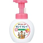 キレイキレイ薬用泡ハンドフルーツミックス２５０ｍｌ