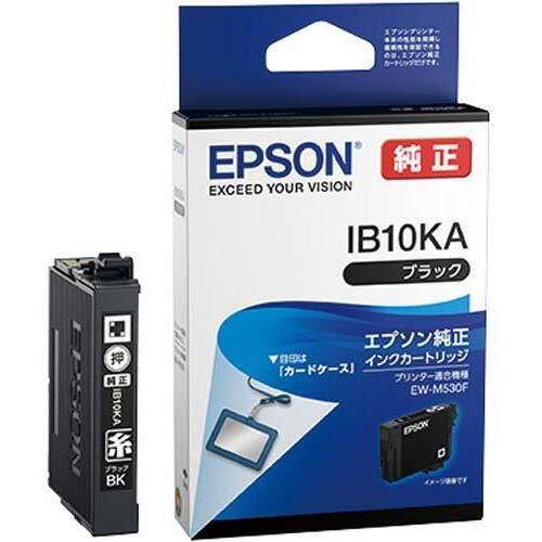 純正インクカートリッジ　ＩＢ１０ＫＡ　ブラック