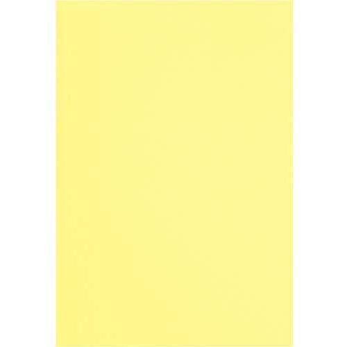 色画用紙　四つ切　クリーム　５枚