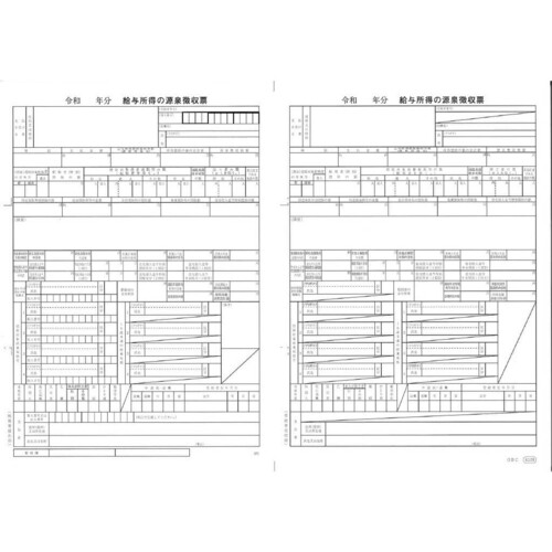 単票源泉徴収票（給与支払報告書なしタイプ）／（令和７年分）