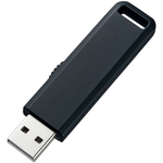 ＵＳＢ２．０メモリ（２ＧＢ・ブラック）　ＵＦＤ－ＳＬ２ＧＢＫＮ　■お取り寄せ品