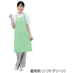 抗ウイルスエプロン　Ｄｒ．ＥａｒｔｈＲ　首掛け　ソフトグリーン　Ｅ３５００－２
