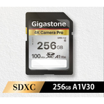 ＳＤＸＣカード　２５６ＧＢ　ＣＬ１０　Ｕ１　Ａ１　Ｖ３０　ＧＪＳＸＲ４Ｋ－２５６ＧＶ３Ａ１　■お取り寄せ品