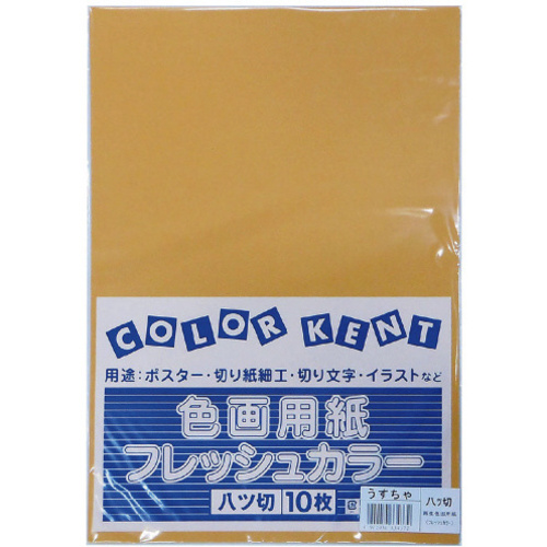 再生色画用紙　八切　うすちゃ　１０枚