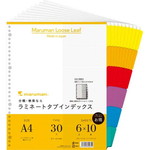 ラミネートタブインデックスＡ４縦３０穴６山１００組