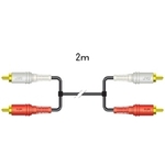 ピンプラグＸ２－ピンプラグＸ２（２Ｍ）　ＣＮ－１８１Ｇ　■お取り寄せ品