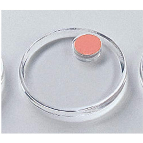 強力カラーマグネットクリヤー４０ｍｍ２個入桃
