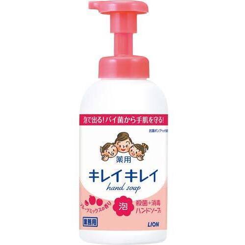 キレイキレイ薬用泡ハンドＳフルーツＭ本体５５０ｍｌ