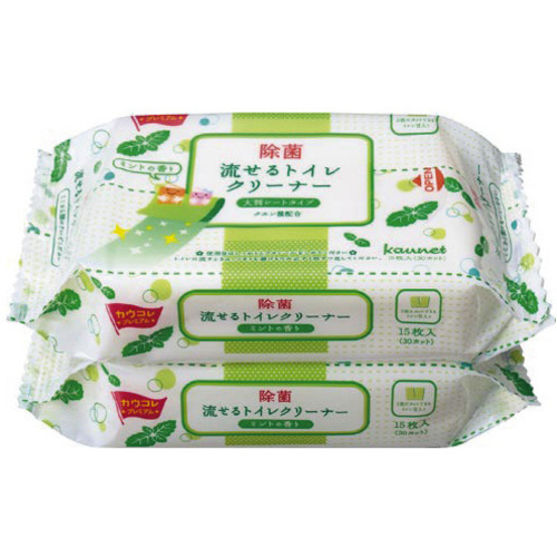 【超ＳＡＬＥ対象品】流せるトイレクリーナー大判　ミント　２個入&times;２０