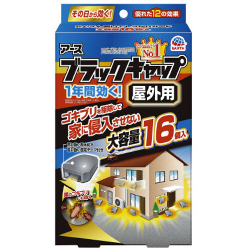 ブラックキャップ　屋外用１６個