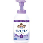 キレイキレイ泡ハンドＳ　フローラルＳ本体５５０ｍｌ