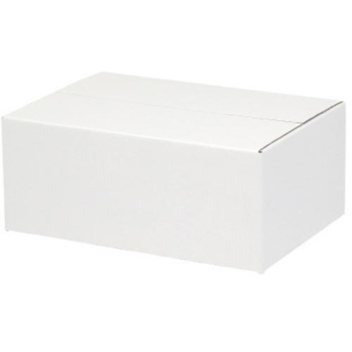 白ダンボール　Ｂ５用－１１０　スリム　２０枚入