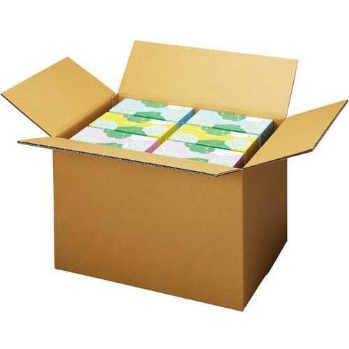 無地ダンボール厚手　Ｎｏ．５－２（底面３Ｌ）１０枚