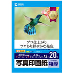 インクジェット写真印画紙・特厚　ＪＰ－ＥＰ２ＮＡ３Ｎ　■お取り寄せ品