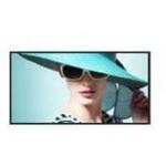 サイネージディスプレイ　４６型／１９２０×１０８０／ＨＤＭＩ、ＶＧＡ／ブラック／スピーカー：あり　■お取り寄せ品