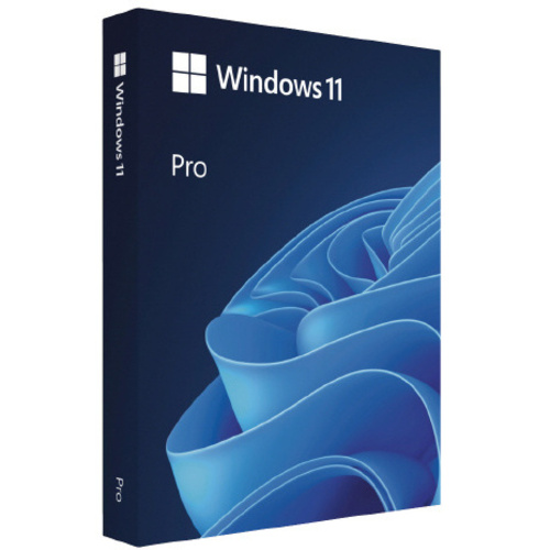 Ｗｉｎｄｏｗｓ　１１　Ｐｒｏ