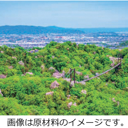 大阪　森の間伐紙