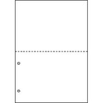 マルチプリンタ帳票　Ａ４　白紙２面２穴　１００枚