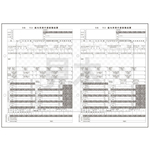 ＰＡ１１３４ＧＡ　電子申告用源泉徴収票　Ｒ０７（１００名入）　■お取り寄せ品