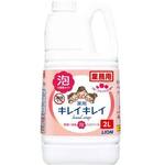 キレイキレイ薬用泡ハンドＳフルーツＭ詰替４Ｌ×３