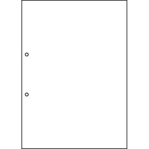 マルチプリンタ帳票　Ａ４　白紙　２穴１００枚