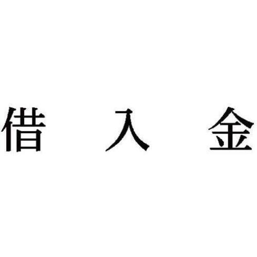 科目印　借入金　【お取り寄せ品】６営業日以内届