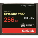 エクストリーム　プロ　コンパクトフラッシュカード　２５６ＧＢ　■お取り寄せ品