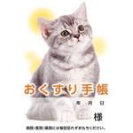 お薬手帳　ねこ　４０Ｐ　５０冊