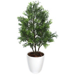 人工観葉植物ティーリーフＭサイズ　【お取り寄せ品】８営業日以内届