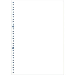 ページプリンタ元帳 ａ４白紙 ３０穴 ２０００枚 お取り寄せ品 イー クイックス インターネットショップ