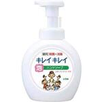 キレイキレイ泡ハンドソープシトラス本体大型
