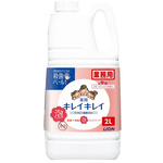 【超ＳＡＬＥ対象品】キレイキレイ薬用泡ハンドソープフルーツＭ業務用２Ｌ