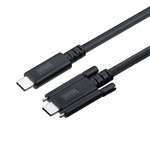 ＵＳＢ　２０Ｇｂｐｓ　Ｔｙｐｅ－Ｃケーブル（デュアルスクリューロック・２４０Ｗ・２ｍ）　■お取り寄せ品